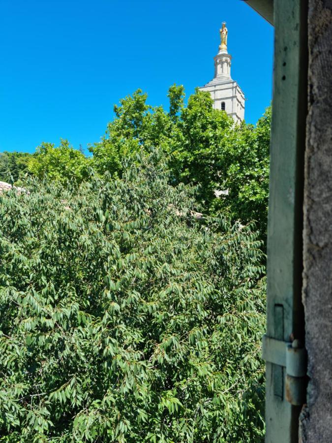 דירות אביניון Un Nid Sur Les Toits Face Au Palais Des Papes מראה חיצוני תמונה