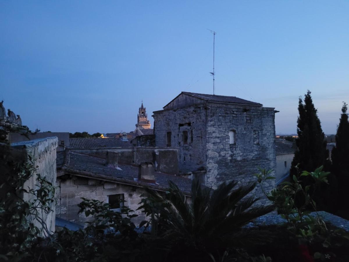 דירות אביניון Un Nid Sur Les Toits Face Au Palais Des Papes מראה חיצוני תמונה