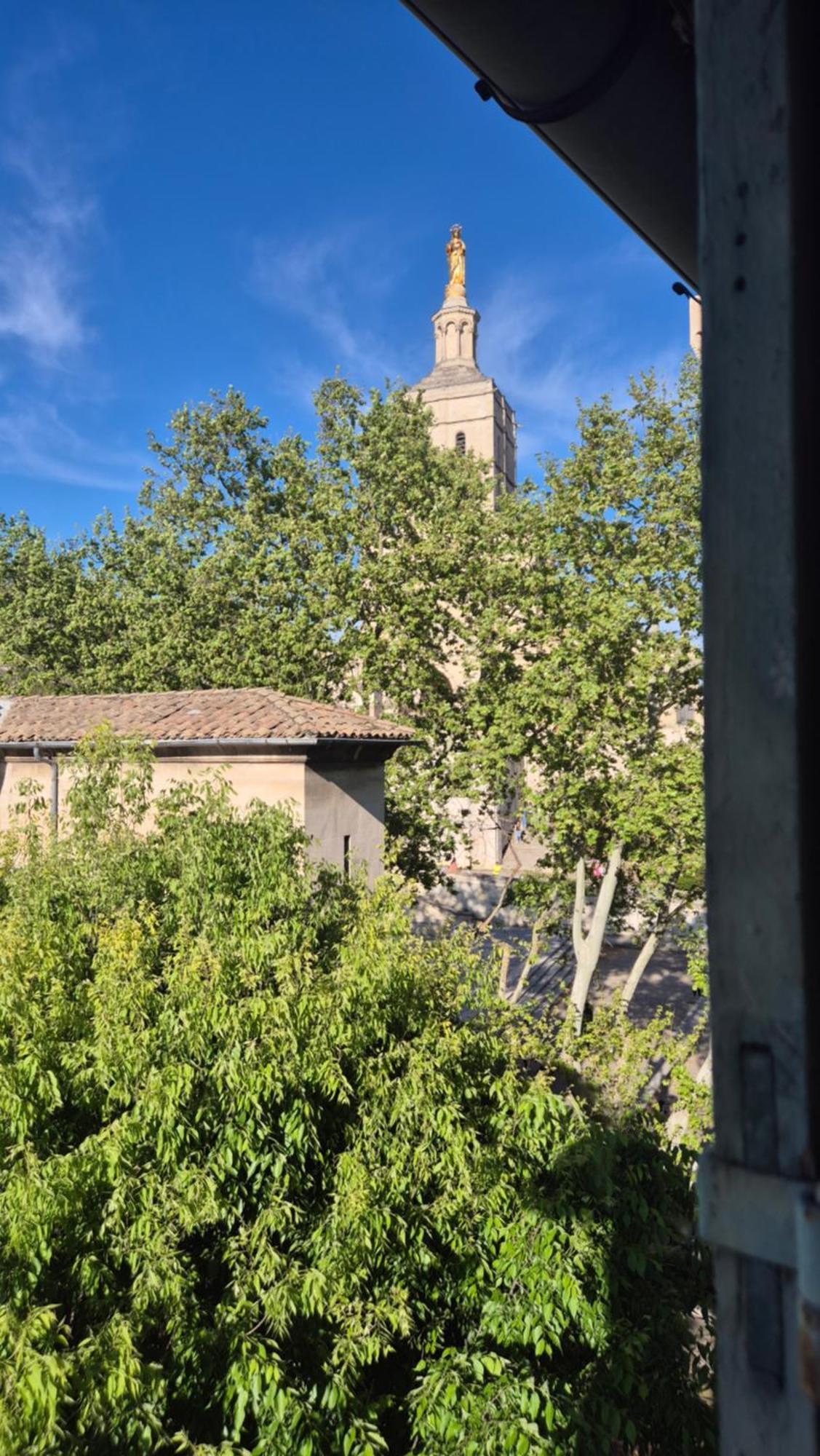 דירות אביניון Un Nid Sur Les Toits Face Au Palais Des Papes מראה חיצוני תמונה